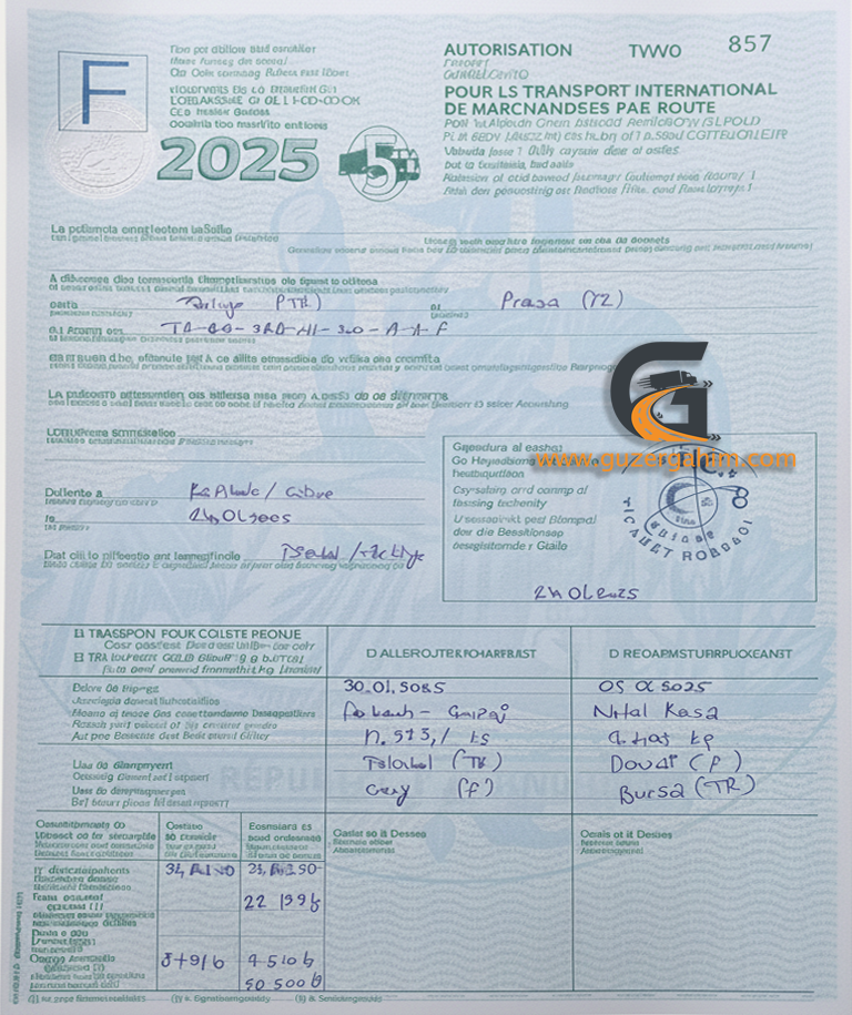 Fransa Transit Türkiye Dozvolası Örneği